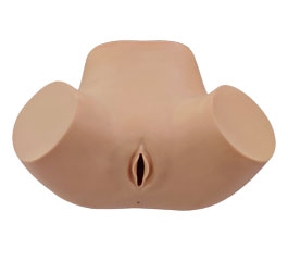  DM-GP6655 阴道后穹窿穿刺模型   