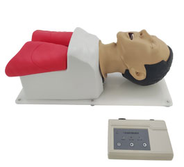DM-FA5004 高级人体气管插管训练模型（带牙齿受压报警）